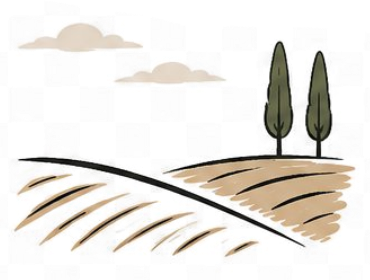 Zwischen Feldern